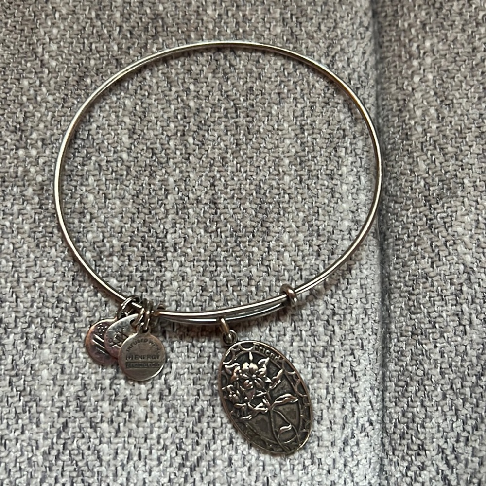 Alex and Ani Friendship Bracelet